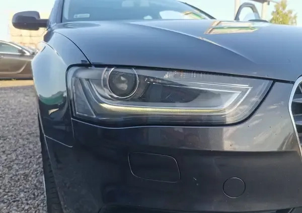 Audi A4 cena 47897 przebieg: 270000, rok produkcji 2013 z Małogoszcz małe 379